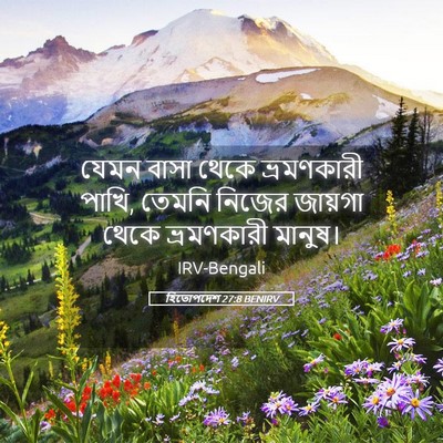 Picture 05 - হিতোপদেশ 27:8 BENIRV - যেমন বাসা থেকে - Bible Verse Picture