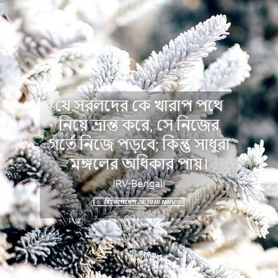 Picture 05 - হিতোপদেশ 28:10 BENIRV - যে সরলদের কে খারাপ - Bible Verse Picture
