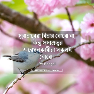 Picture 05 - হিতোপদেশ 28:5 BENIRV - দুরাচারেরা বিচার - Bible Verse Picture