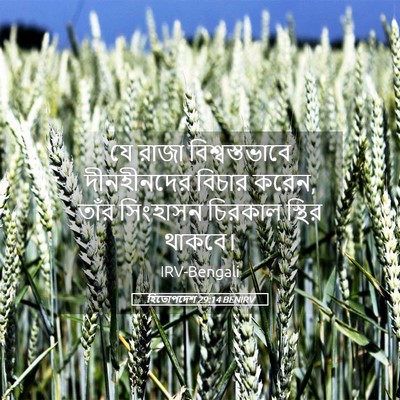 Picture 05 - হিতোপদেশ 29:14 BENIRV - যে রাজা - Bible Verse Picture