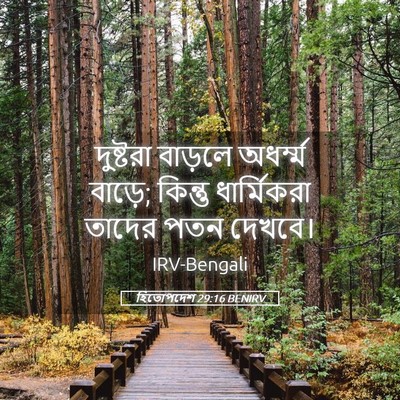 Picture 05 - হিতোপদেশ 29:16 BENIRV - দুষ্টরা বাড়লে - Bible Verse Picture