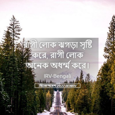 Picture 05 - হিতোপদেশ 29:22 BENIRV - রাগী লোক ঝগড়া - Bible Verse Picture