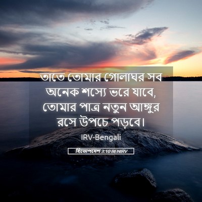 Picture 05 - হিতোপদেশ 3:10 BENIRV - তাতে তোমার গোলাঘর - Bible Verse Picture