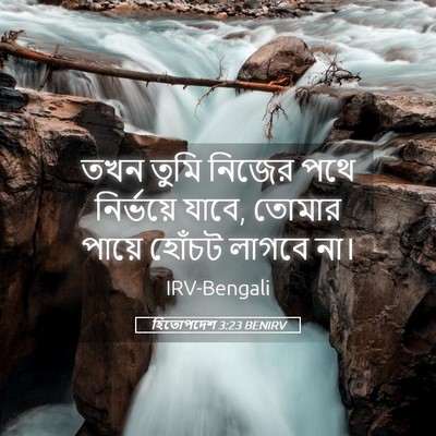 Picture 05 - হিতোপদেশ 3:23 BENIRV - তখন তুমি নিজের পথে - Bible Verse Picture