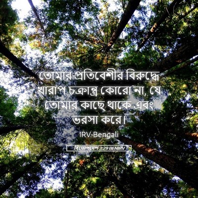 Picture 05 - হিতোপদেশ 3:29 BENIRV - তোমার প্রতিবেশীর - Bible Verse Picture
