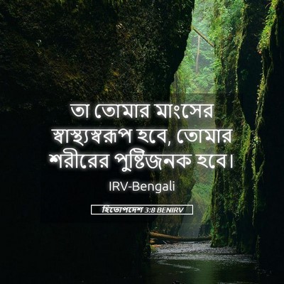 Picture 05 - হিতোপদেশ 3:8 BENIRV - তা তোমার মাংসের - Bible Verse Picture