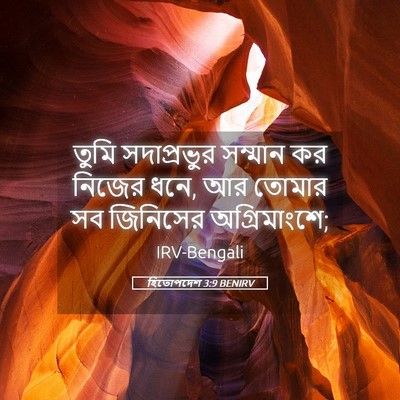 Picture 05 - হিতোপদেশ 3:9 BENIRV - তুমি সদাপ্রভুর - Bible Verse Picture