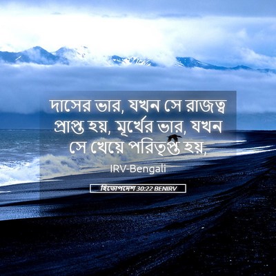 Picture 05 - হিতোপদেশ 30:22 BENIRV - দাসের ভার, যখন সে - Bible Verse Picture