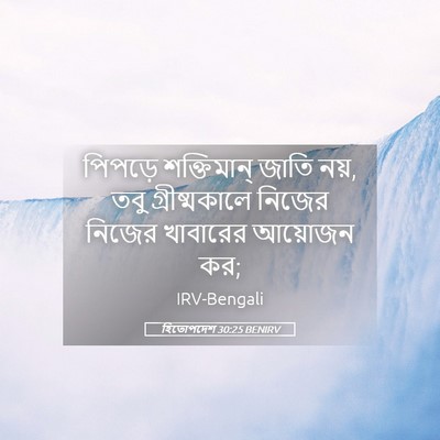 Picture 05 - হিতোপদেশ 30:25 BENIRV - পিপড়ে শক্তিমান্ - Bible Verse Picture