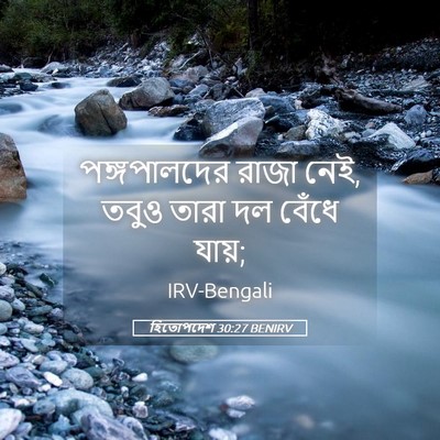 Picture 05 - হিতোপদেশ 30:27 BENIRV - পঙ্গপালদের রাজা - Bible Verse Picture