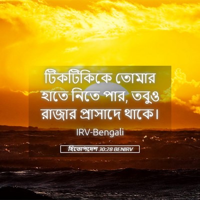 Picture 05 - হিতোপদেশ 30:28 BENIRV - টিকটিকিকে তোমার - Bible Verse Picture