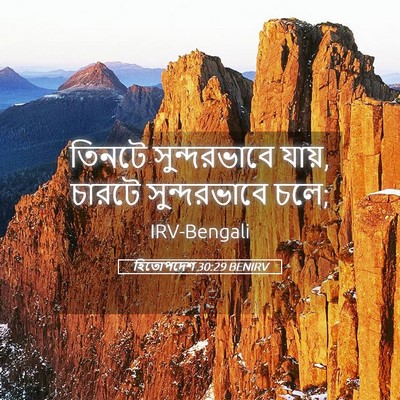 Picture 05 - হিতোপদেশ 30:29 BENIRV - তিনটে সুন্দরভাবে - Bible Verse Picture