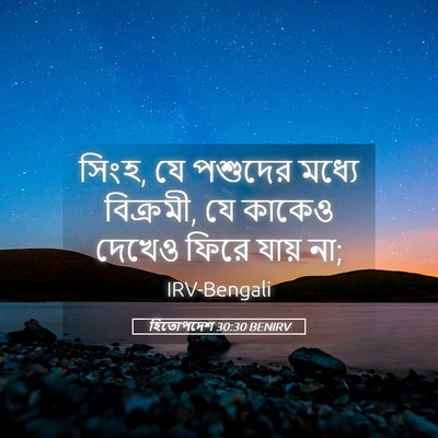 Picture 05 - হিতোপদেশ 30:30 BENIRV - সিংহ, যে পশুদের - Bible Verse Picture