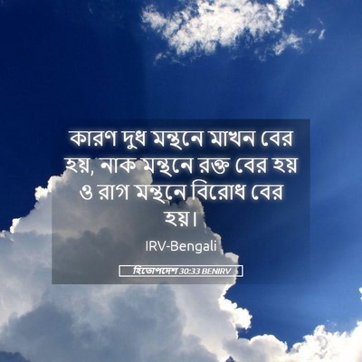 Picture 05 - হিতোপদেশ 30:33 BENIRV - কারণ দুধ মন্থনে - Bible Verse Picture