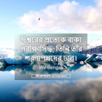 Picture 05 - হিতোপদেশ 30:5 BENIRV - ঈশ্বরের প্রত্যেক - Bible Verse Picture