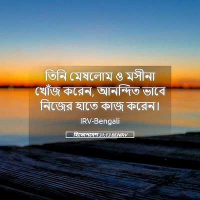 Picture 05 - হিতোপদেশ 31:13 BENIRV - তিনি মেষলোম ও - Bible Verse Picture