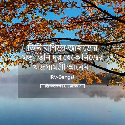 Picture 05 - হিতোপদেশ 31:14 BENIRV - তিনি - Bible Verse Picture