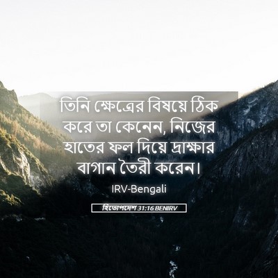 Picture 05 - হিতোপদেশ 31:16 BENIRV - তিনি ক্ষেত্রের - Bible Verse Picture