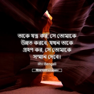 Picture 05 - হিতোপদেশ 4:8 BENIRV - তাকে যত্ন কর, সে - Bible Verse Picture
