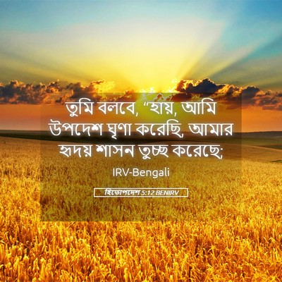 Picture 05 - হিতোপদেশ 5:12 BENIRV - তুমি বলবে, “হায়, - Bible Verse Picture