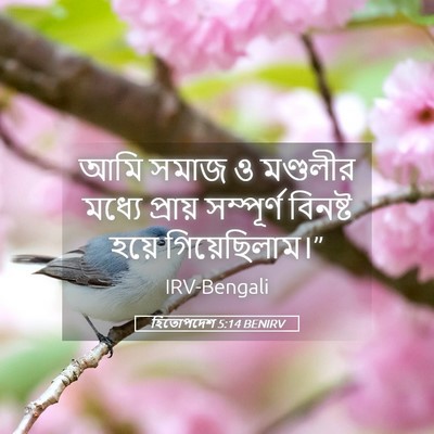 Picture 05 - হিতোপদেশ 5:14 BENIRV - আমি সমাজ ও মণ্ডলীর - Bible Verse Picture