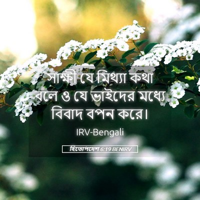 Picture 05 - হিতোপদেশ 6:19 BENIRV - সাক্ষী যে মিথ্যা - Bible Verse Picture