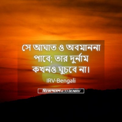 Picture 05 - হিতোপদেশ 6:33 BENIRV - সে আঘাত ও অবমাননা - Bible Verse Picture