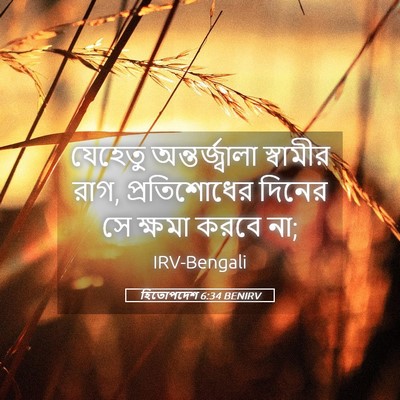 Picture 05 - হিতোপদেশ 6:34 BENIRV - যেহেতু - Bible Verse Picture