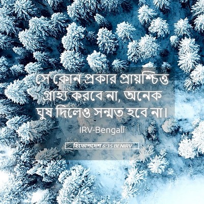 Picture 05 - হিতোপদেশ 6:35 BENIRV - সে কোন প্রকার - Bible Verse Picture