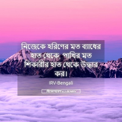 Picture 05 - হিতোপদেশ 6:5 BENIRV - নিজেকে হরিণের মত - Bible Verse Picture