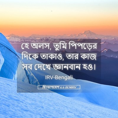 Picture 05 - হিতোপদেশ 6:6 BENIRV - হে অলস, তুমি - Bible Verse Picture
