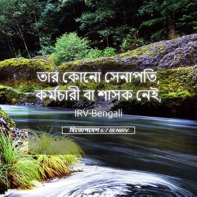 Picture 05 - হিতোপদেশ 6:7 BENIRV - তার কোনো সেনাপতি, - Bible Verse Picture