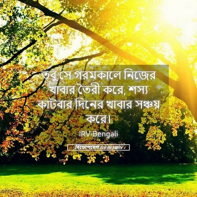 Picture 05 - হিতোপদেশ 6:8 BENIRV - তবু সে গরমকালে - Bible Verse Picture