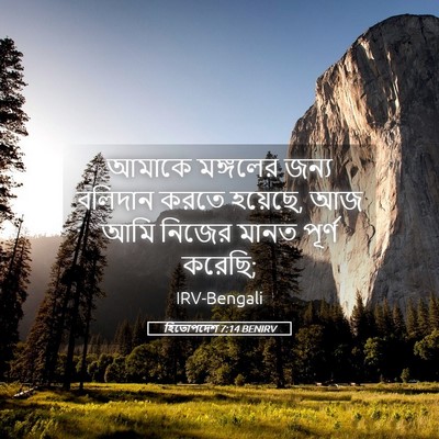Picture 05 - হিতোপদেশ 7:14 BENIRV - আমাকে মঙ্গলের - Bible Verse Picture