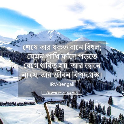 Picture 05 - হিতোপদেশ 7:23 BENIRV - শেষে তার যকৃত বানে - Bible Verse Picture
