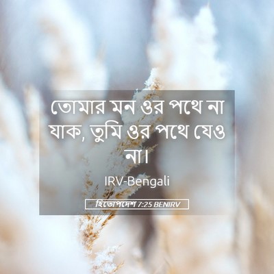 Picture 05 - হিতোপদেশ 7:25 BENIRV - তোমার মন ওর পথে না - Bible Verse Picture