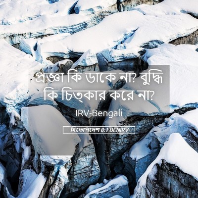 Picture 05 - হিতোপদেশ 8:1 BENIRV - প্রজ্ঞা কি ডাকে না? - Bible Verse Picture
