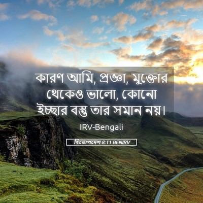 Picture 05 - হিতোপদেশ 8:11 BENIRV - কারণ আমি, প্রজ্ঞা, - Bible Verse Picture