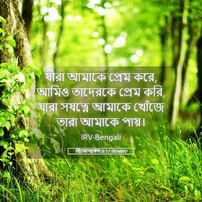 Picture 05 - হিতোপদেশ 8:17 BENIRV - যারা আমাকে প্রেম - Bible Verse Picture