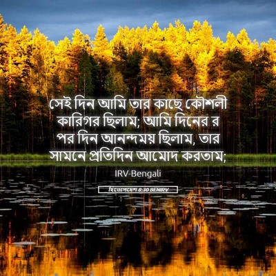 Picture 05 - হিতোপদেশ 8:30 BENIRV - সেই দিন আমি তার - Bible Verse Picture