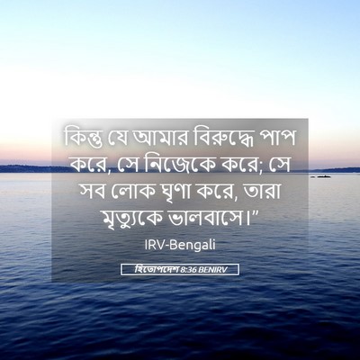 Picture 05 - হিতোপদেশ 8:36 BENIRV - কিন্তু যে আমার - Bible Verse Picture