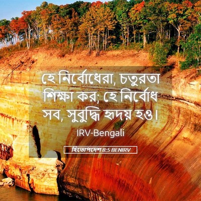 Picture 05 - হিতোপদেশ 8:5 BENIRV - হে নির্বোধেরা, - Bible Verse Picture