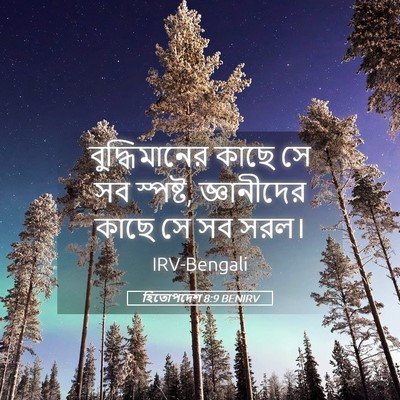 Picture 05 - হিতোপদেশ 8:9 BENIRV - বুদ্ধিমানের কাছে - Bible Verse Picture
