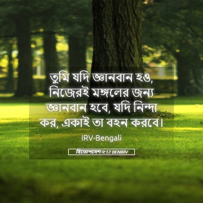 Picture 05 - হিতোপদেশ 9:12 BENIRV - তুমি যদি জ্ঞানবান - Bible Verse Picture