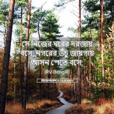 Picture 05 - হিতোপদেশ 9:14 BENIRV - সে নিজের ঘরের - Bible Verse Picture