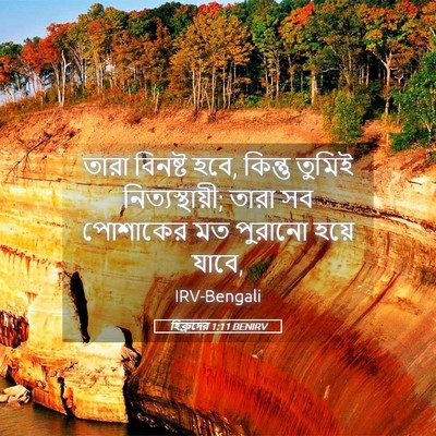 Picture 05 - হিব্রুদের 1:11 BENIRV - তারা বিনষ্ট হবে, - Bible Verse Picture