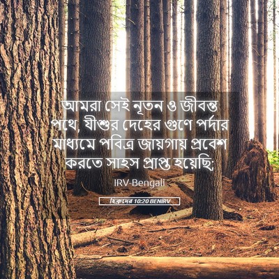 Picture 05 - হিব্রুদের 10:20 BENIRV - আমরা সেই নূতন ও - Bible Verse Picture