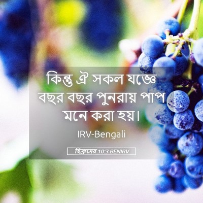 Picture 05 - হিব্রুদের 10:3 BENIRV - কিন্তু ঐ সকল যজ্ঞে - Bible Verse Picture