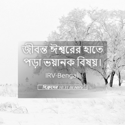 Picture 05 - হিব্রুদের 10:31 BENIRV - জীবন্ত ঈশ্বরের - Bible Verse Picture