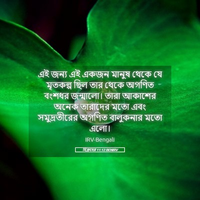 Picture 05 - হিব্রুদের 11:12 BENIRV - এই জন্য এই একজন - Bible Verse Picture